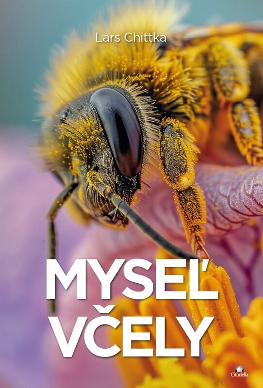 Mysl vely - slovensky